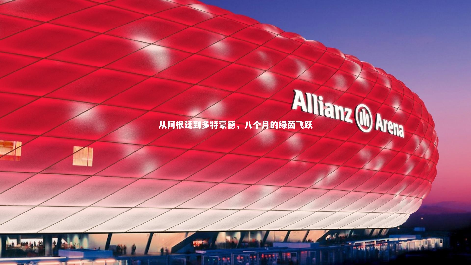 从阿根廷到多特蒙德，八个月的绿茵飞跃